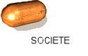 SOCIETE